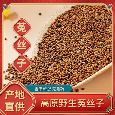 菟丝子