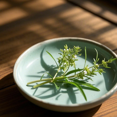狗芽草