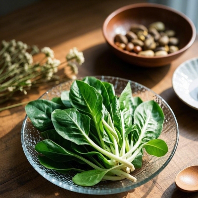 岩白菜