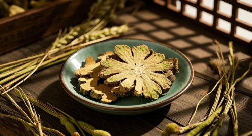 独活怎么种植?独活高效种植技术