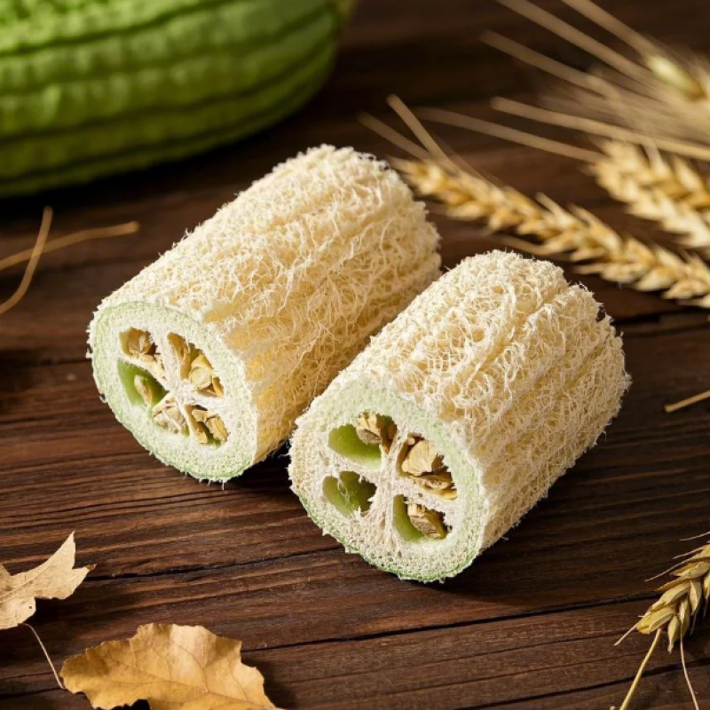 丝瓜络